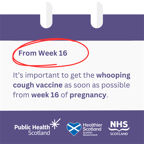 Whooping Cough Asset 2 May 2024